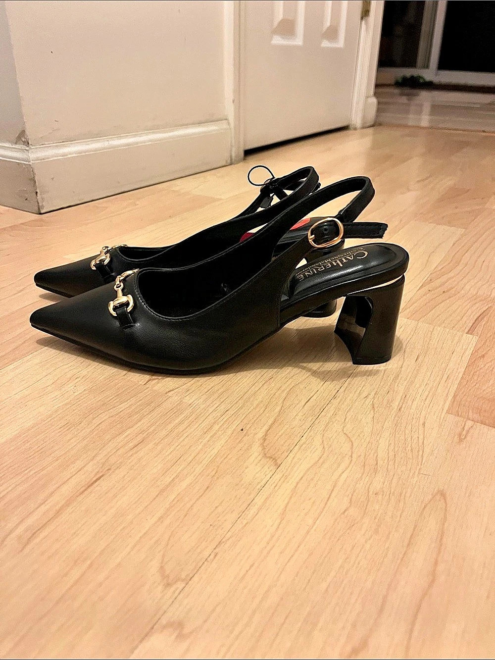 Pointed Toe Slingback Heels in Black US 6 NWT